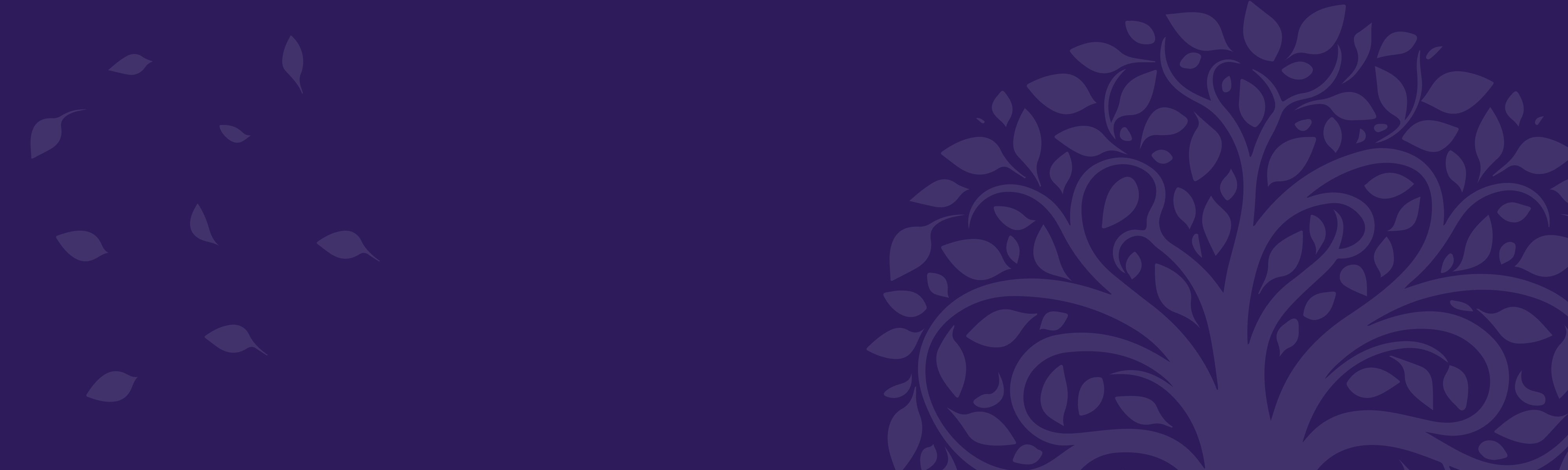 Banner Default Image