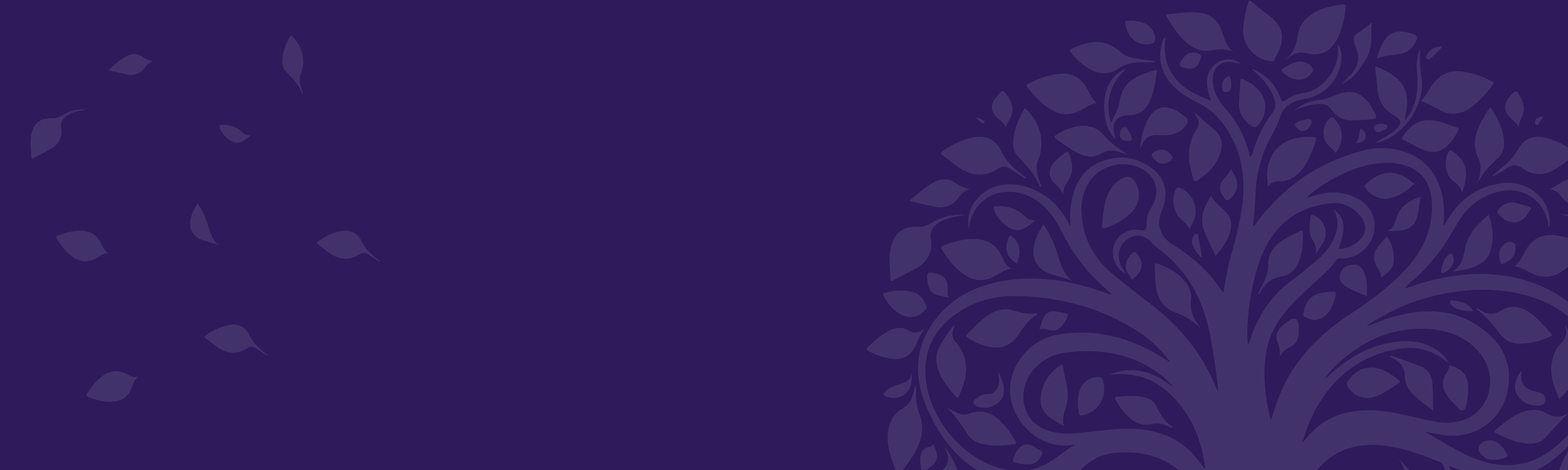 Banner Default Image