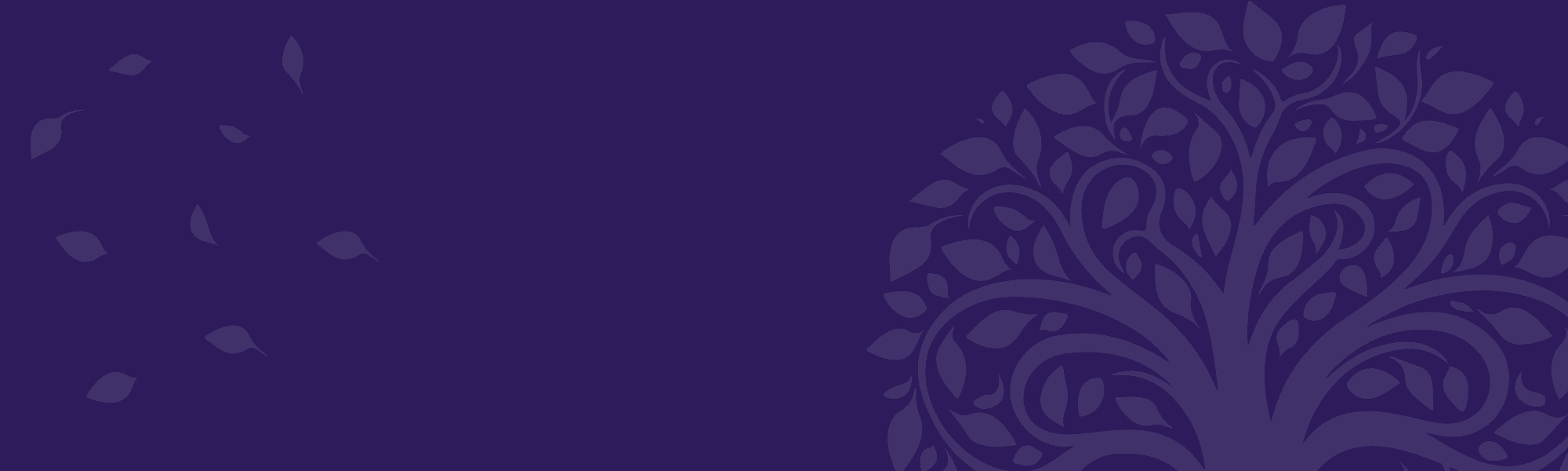 Banner Default Image